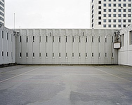 Communal yard