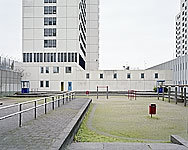 Communal yard